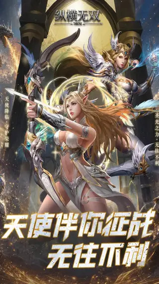 纵横无双 游戏截图 1